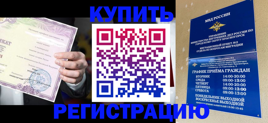 временная регистрация собственник в Амурске